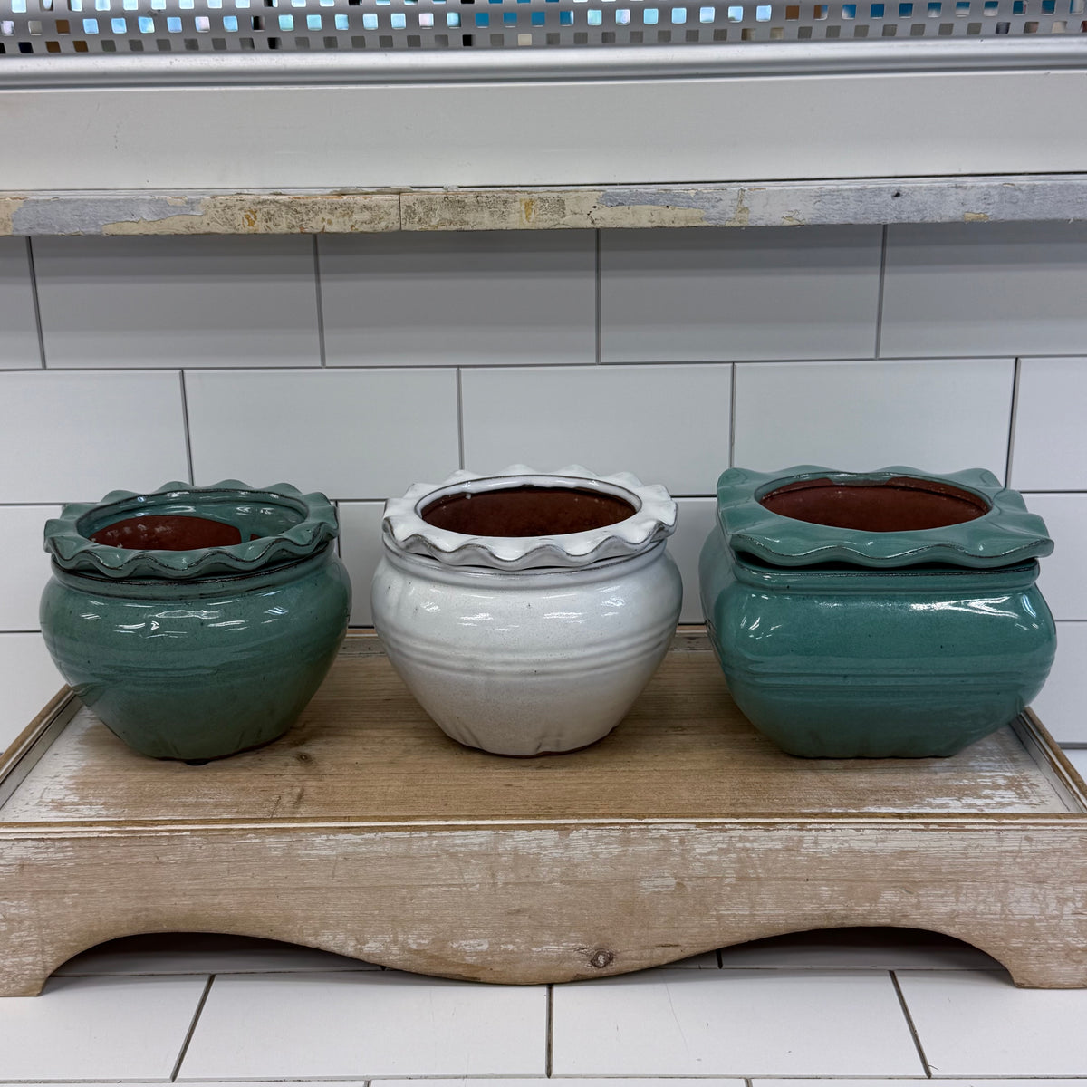 Self Watering Planter Selection