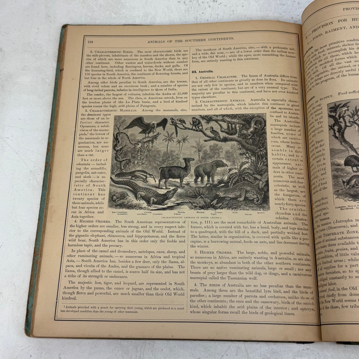 Arnold Guyot Physical Geography Hardback, 1873