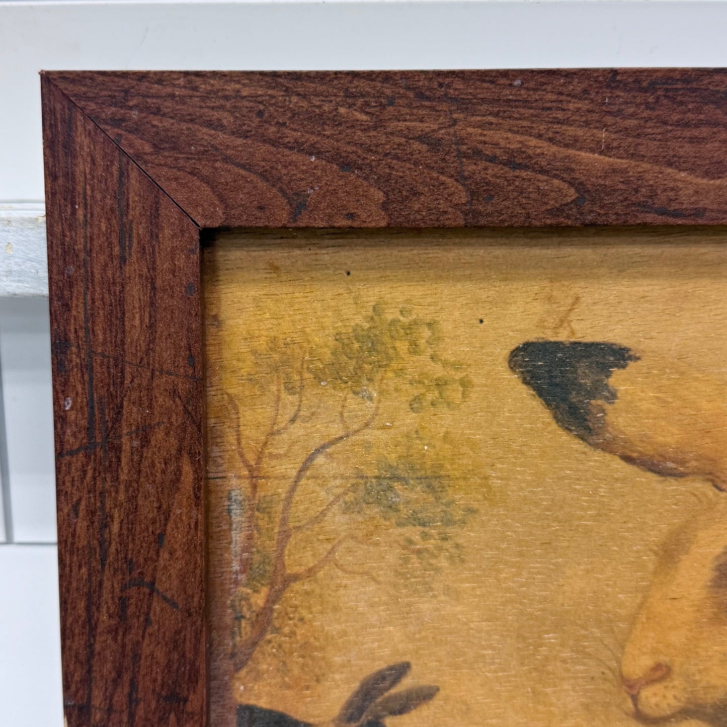 Mid Gordon English Rabbit II Framed Art on Wood 2001