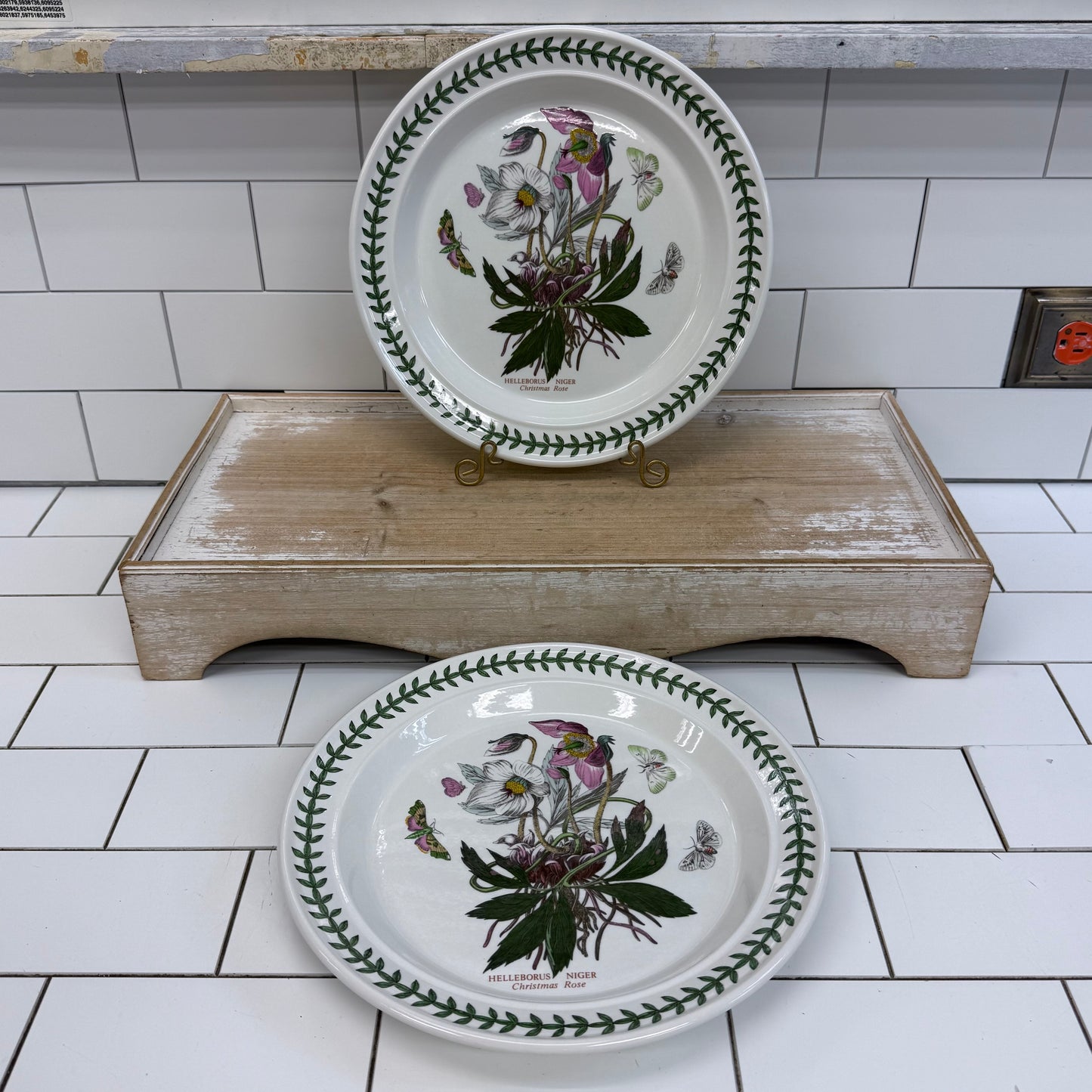 Portmeirion Botanic Garden Dinner Plates Set 2