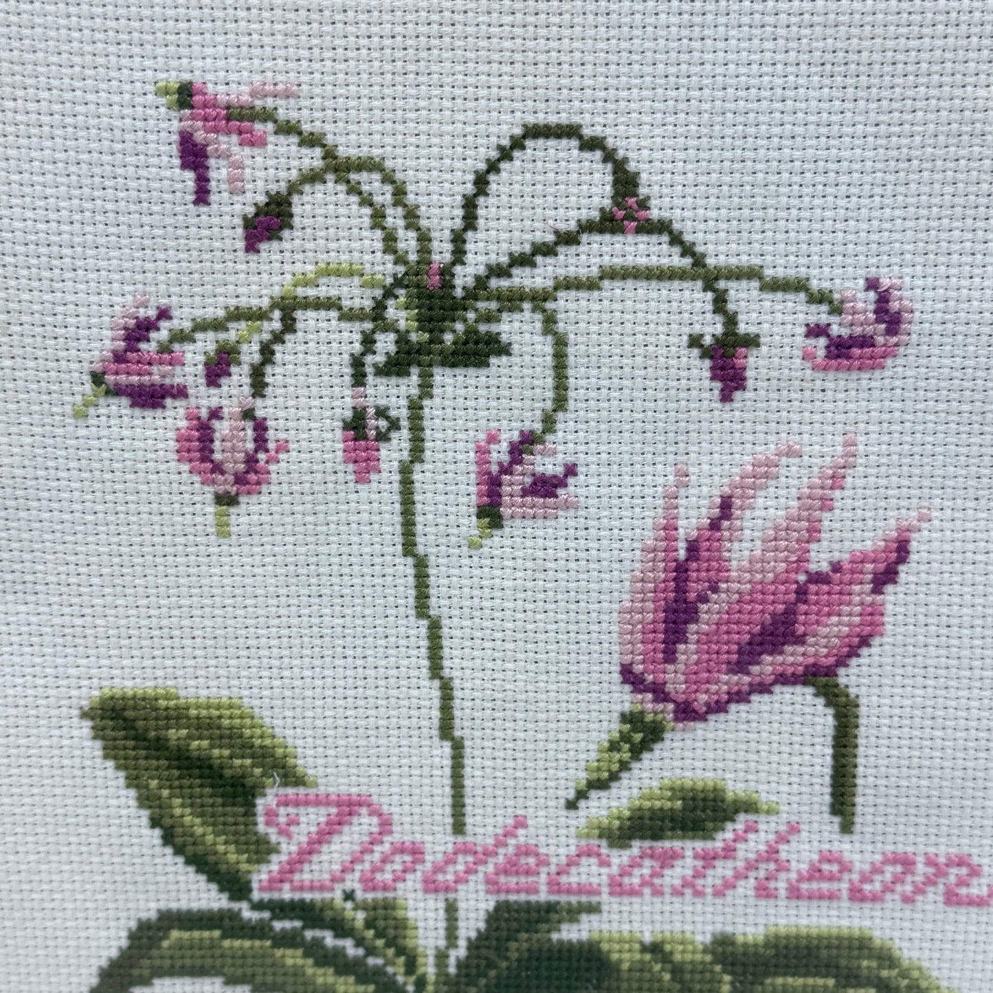 Dodecatheon Cross Stitch Art