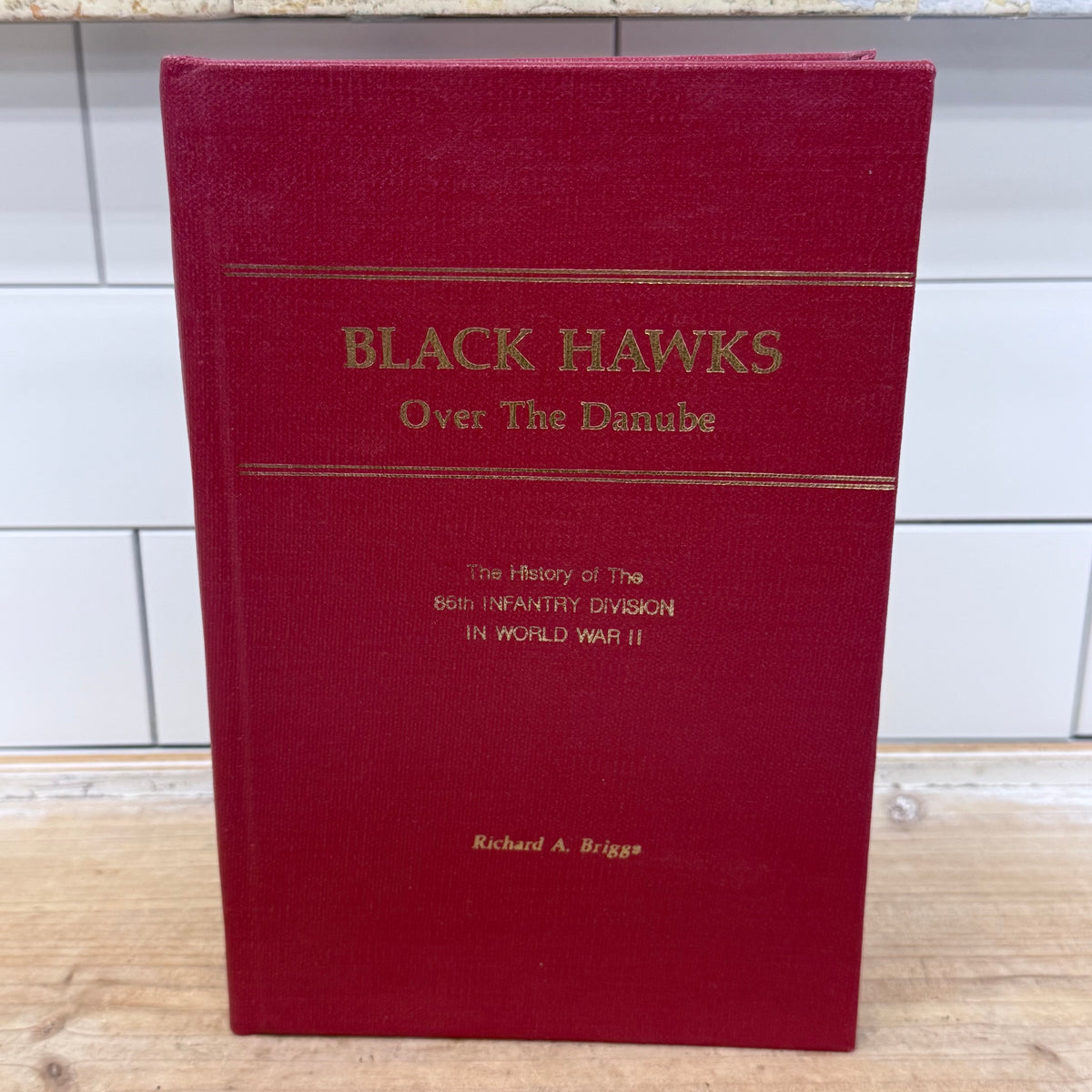 Black Hawks Over the Danube Richard A Briggs WWII 1954 Signed