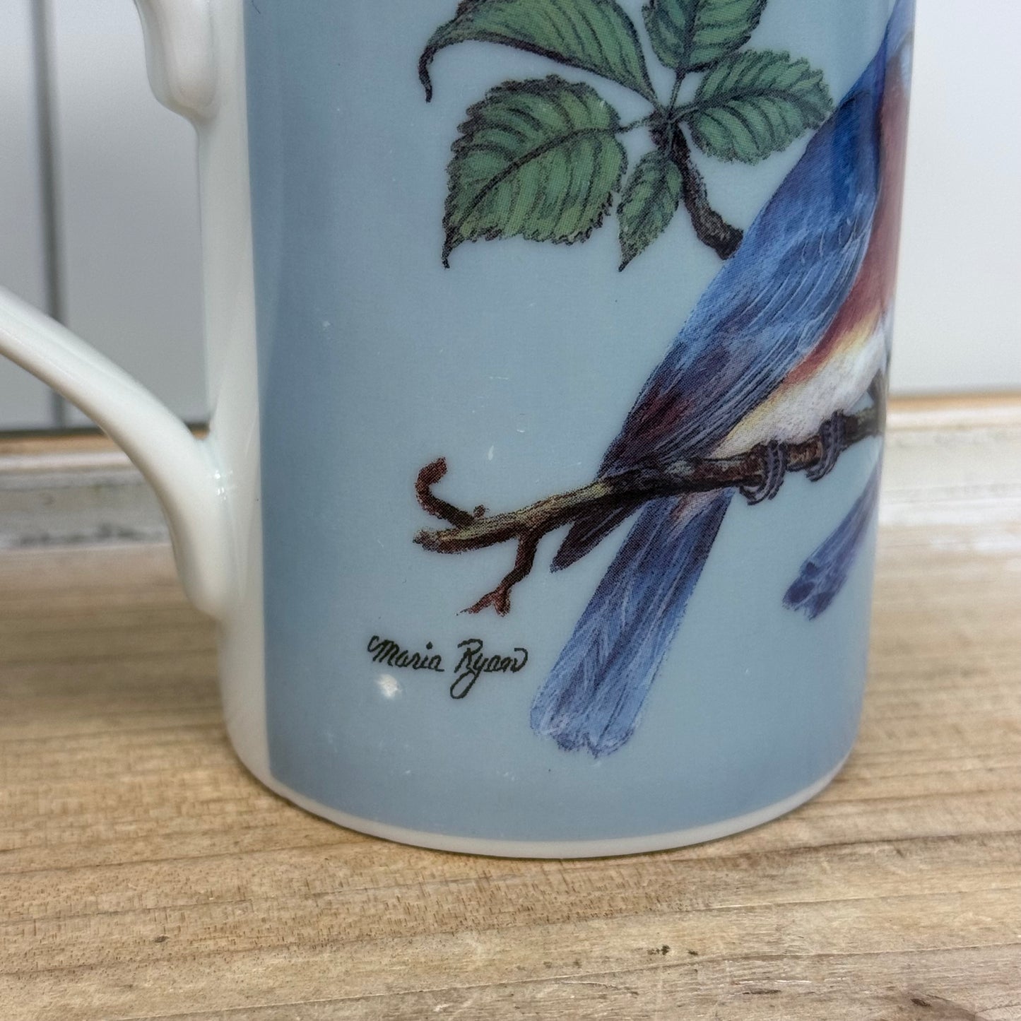 Inhesion Garden Birds Mug Set of 7 by Maria Ryan Porcelain