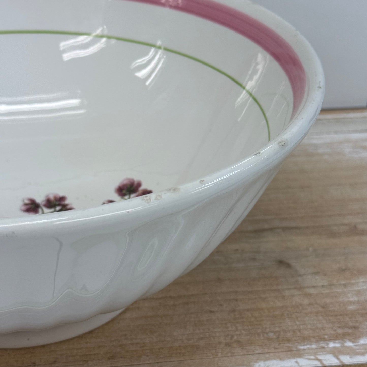 La Primula Italy Chimaphila Botanical Ceramic Serving Bowl 11”