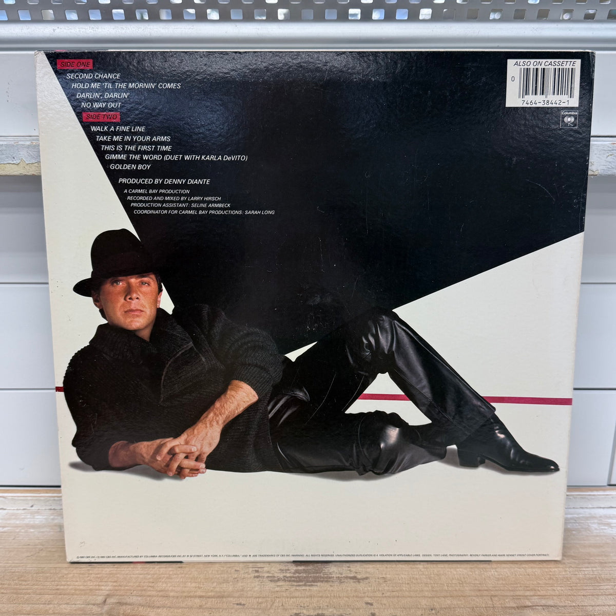 Paul Anka Walk a Fine Line Vinyl Record, 1983 - FC 38442