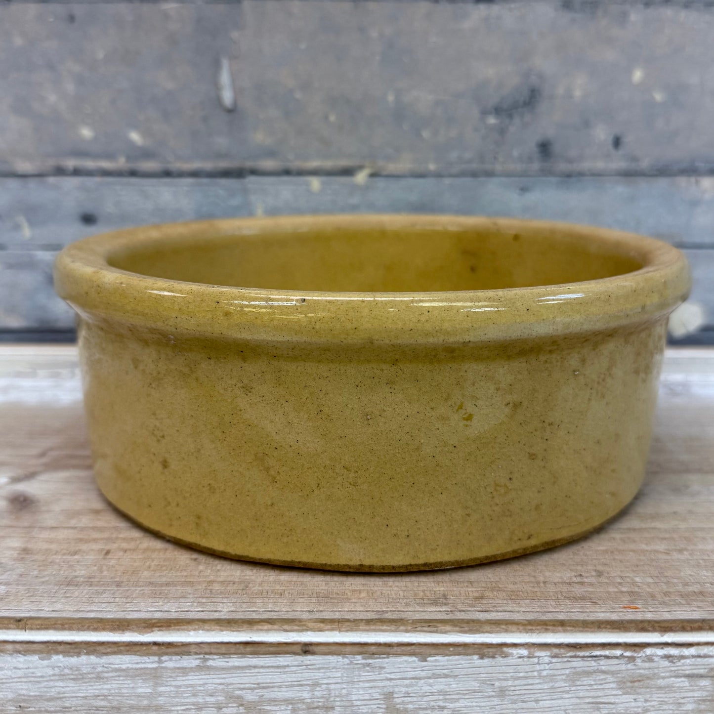 Robinson Ransbottom Stoneware Pet Bowl Selection