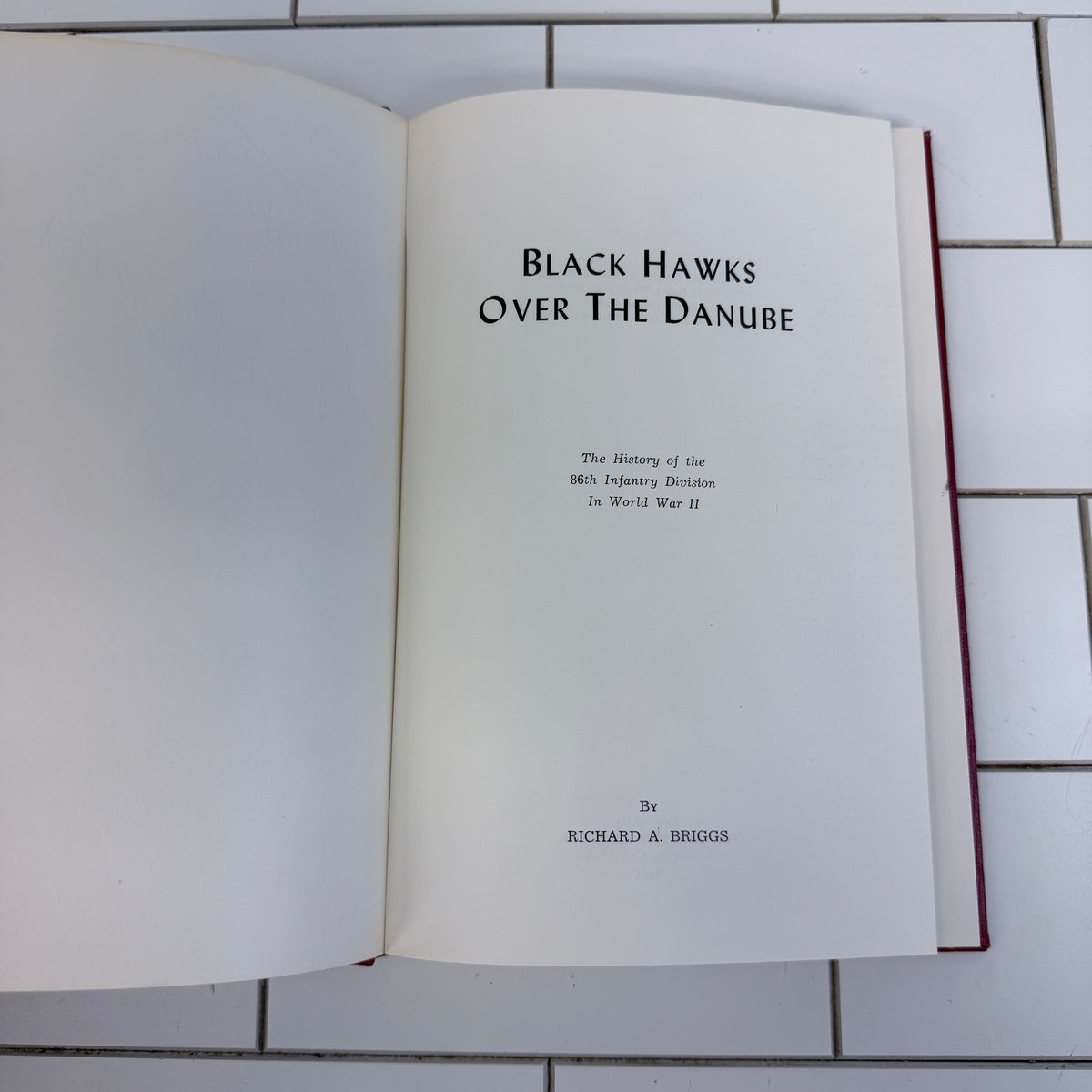 Black Hawks Over the Danube Richard A Briggs WWII 1954 Signed