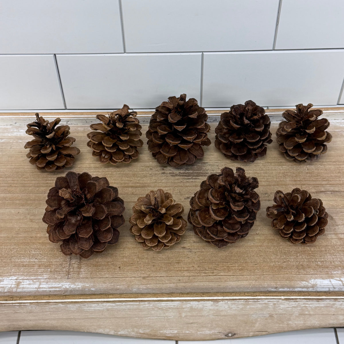 Colonial Williamsburg Cinnamon Scented Pine Cones Boxed