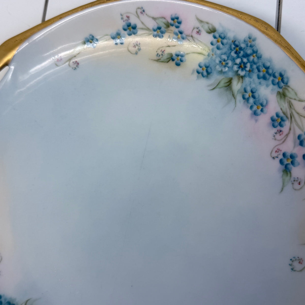 Reinhold Schlegelmilch Cake Plate Hand Painted Dish 1928