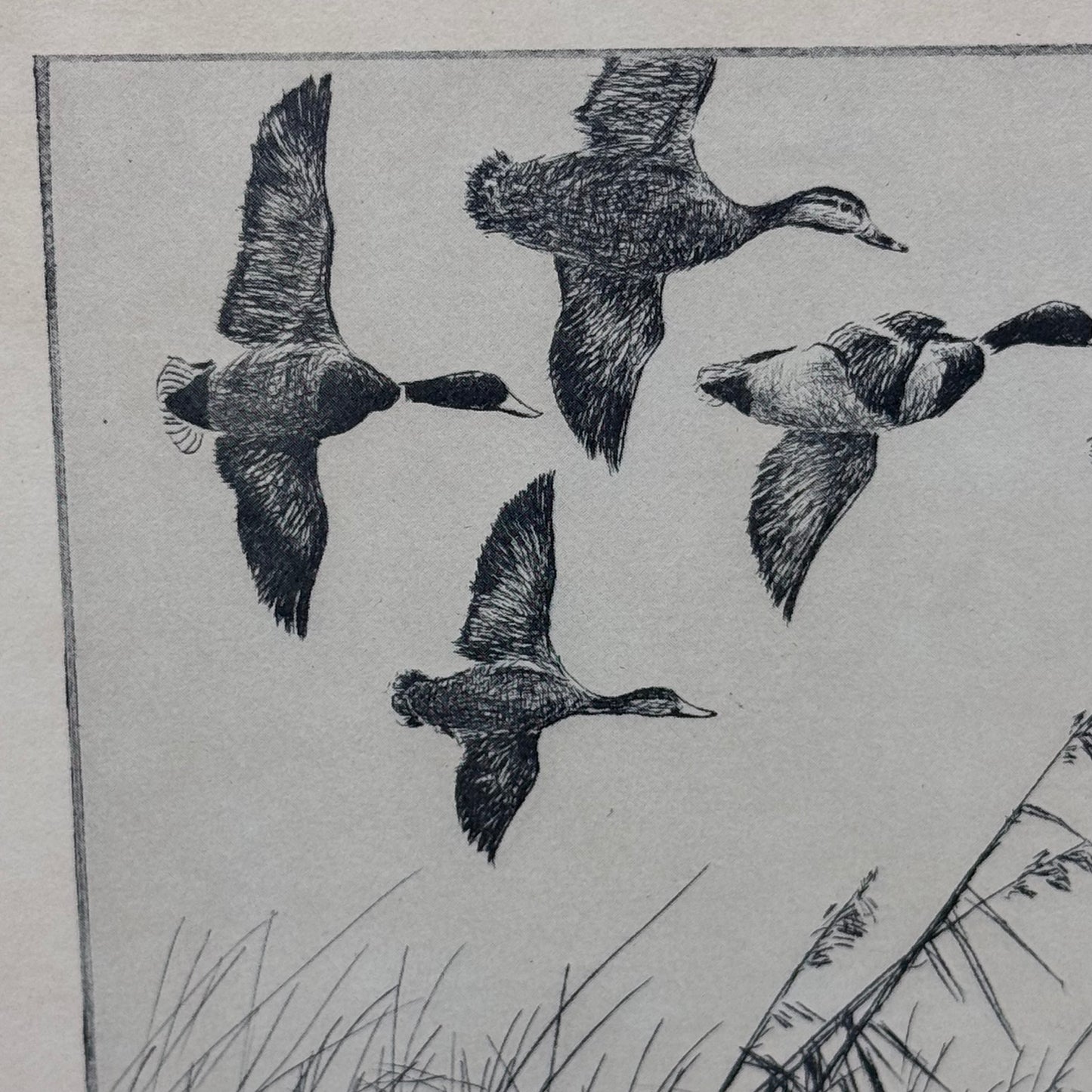 Don Swann Over the Marsh Offset Print