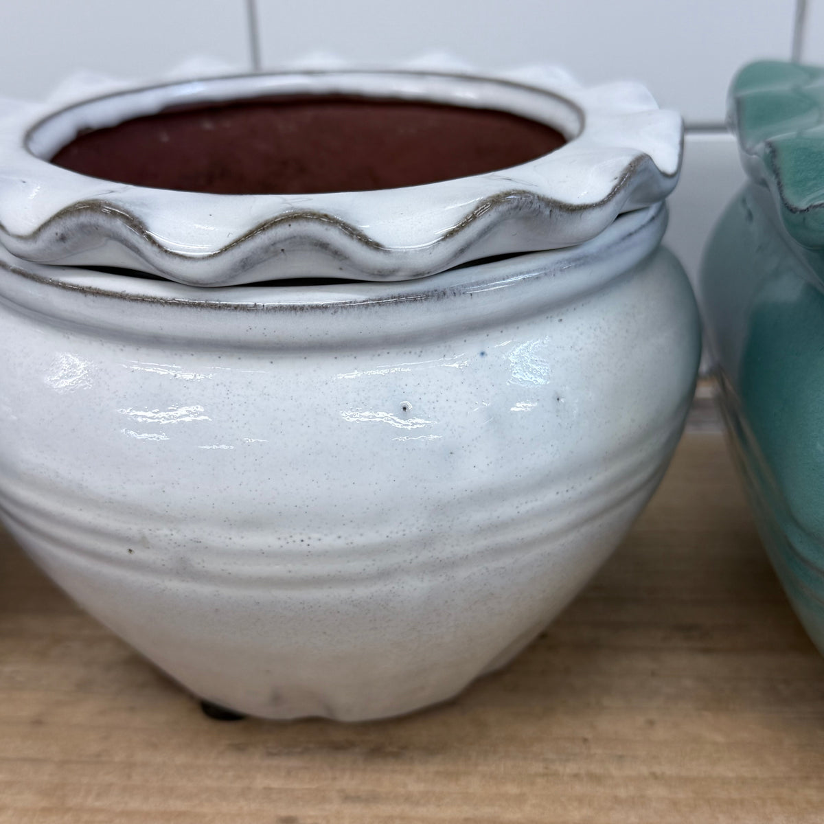 Self Watering Planter Selection