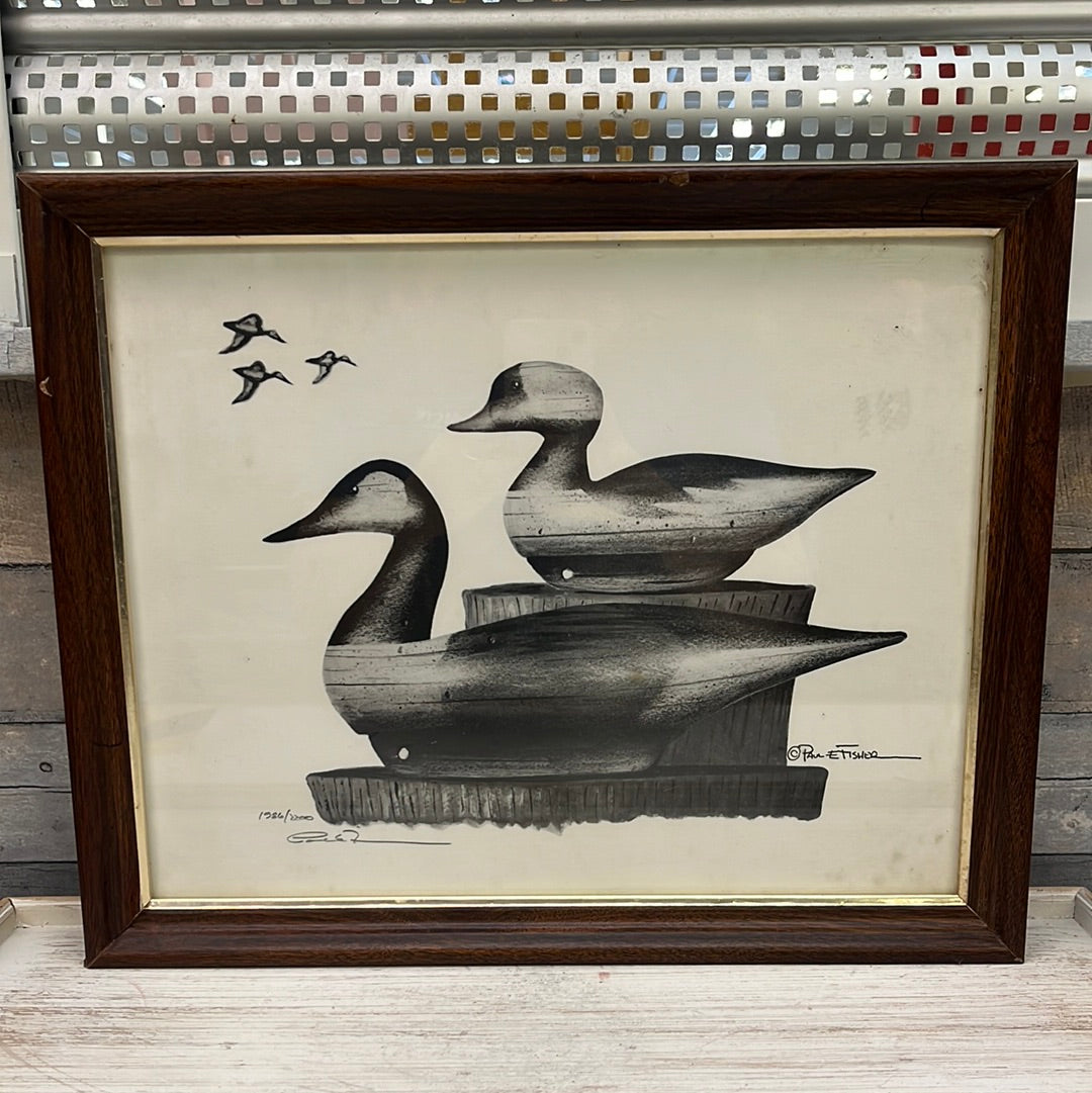 Waterfowl Sketch Collection, Signed & Numbered