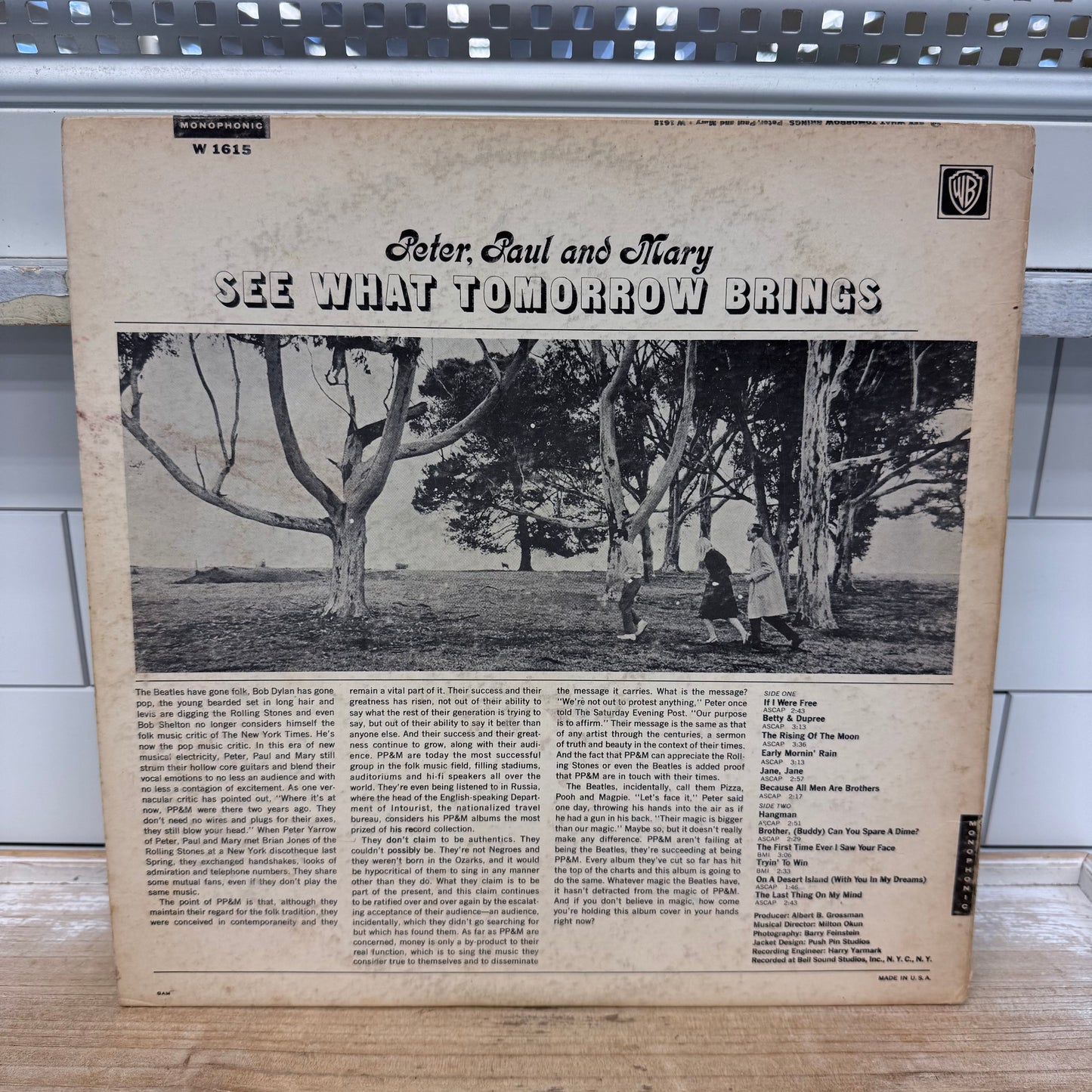 Peter Paul & Mary See What Tomorrow Brings Vinyl Record 1965