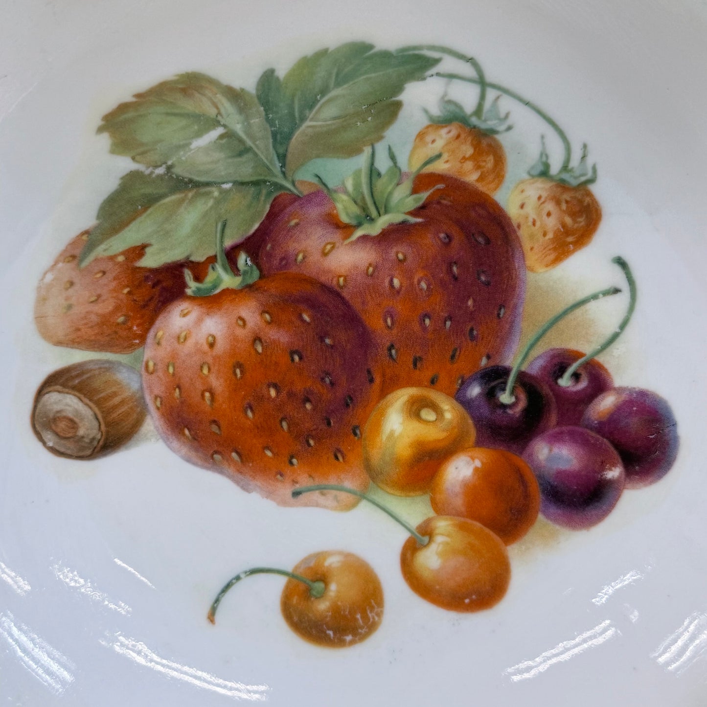 German Hand Painted Fruit Porcelain Serving Bowl