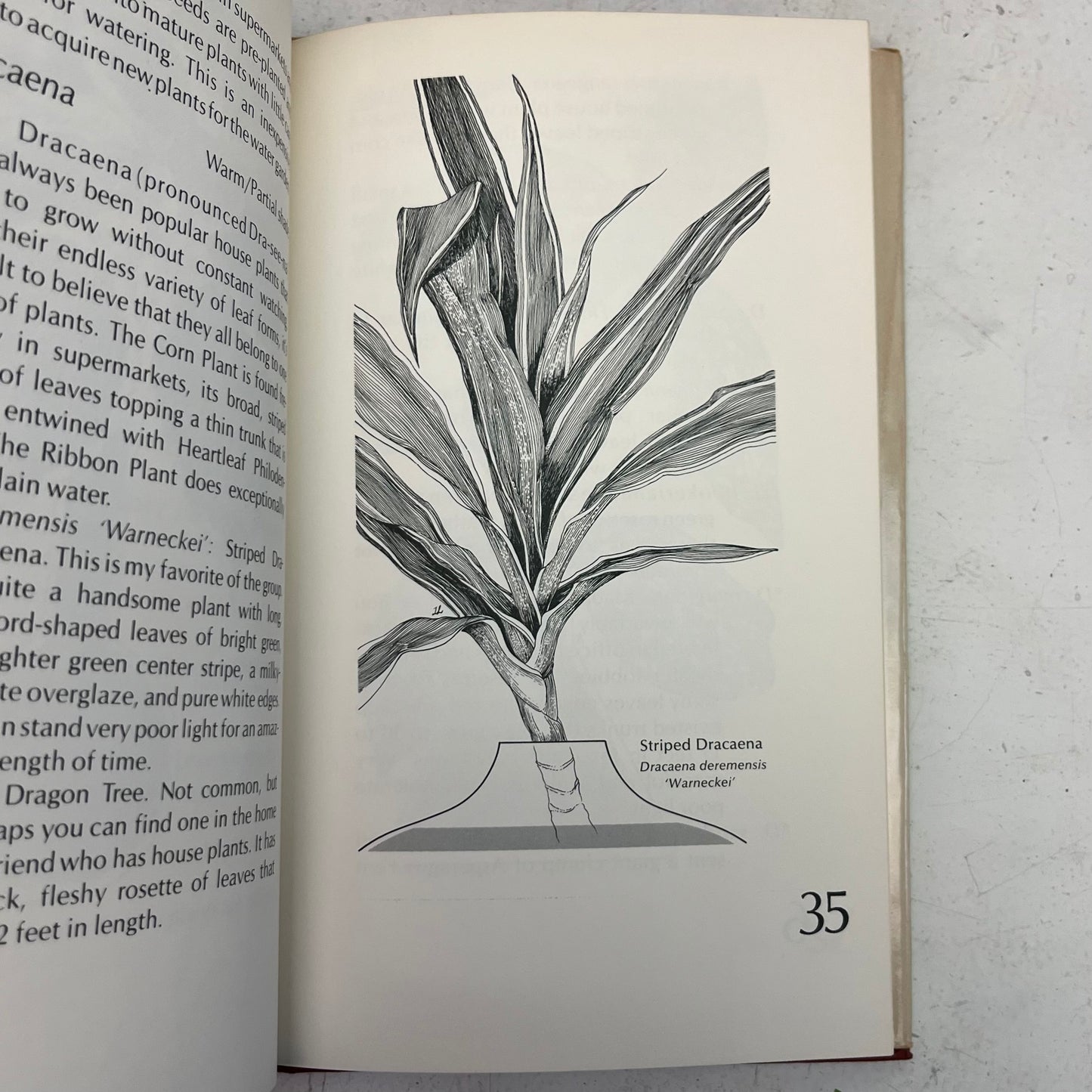 The Indoor Water Gardener’s Guide, First Edition 1973