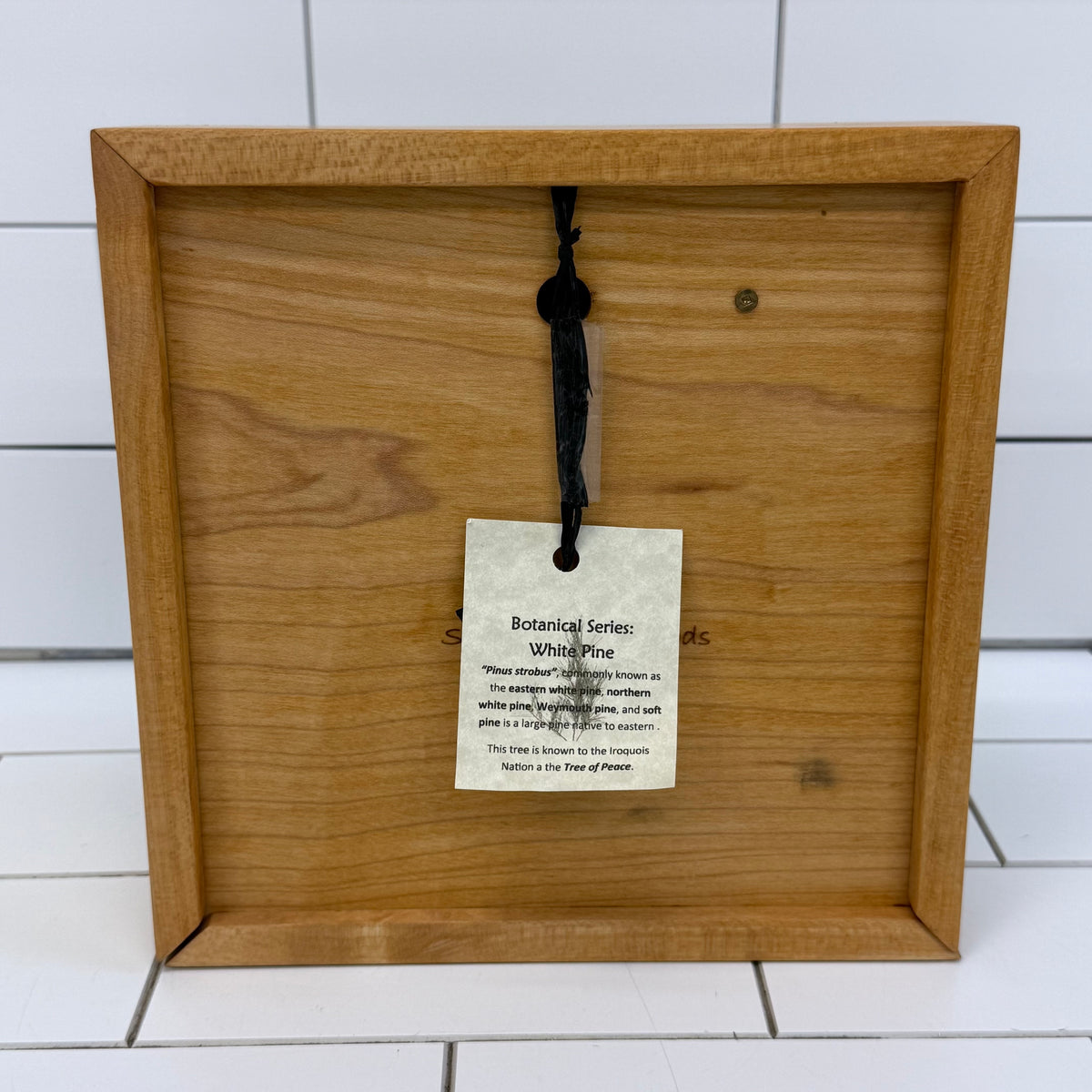 Sabbath-Day Woods White Pine Botanical Wood Box Clock