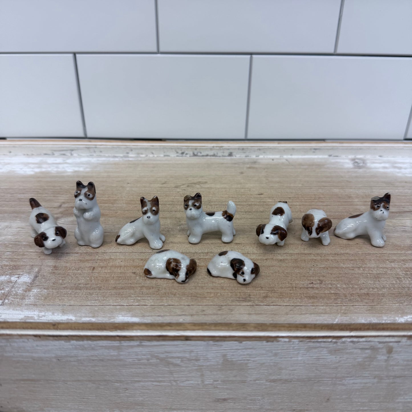 Family of Dogs Figurine Set of 11