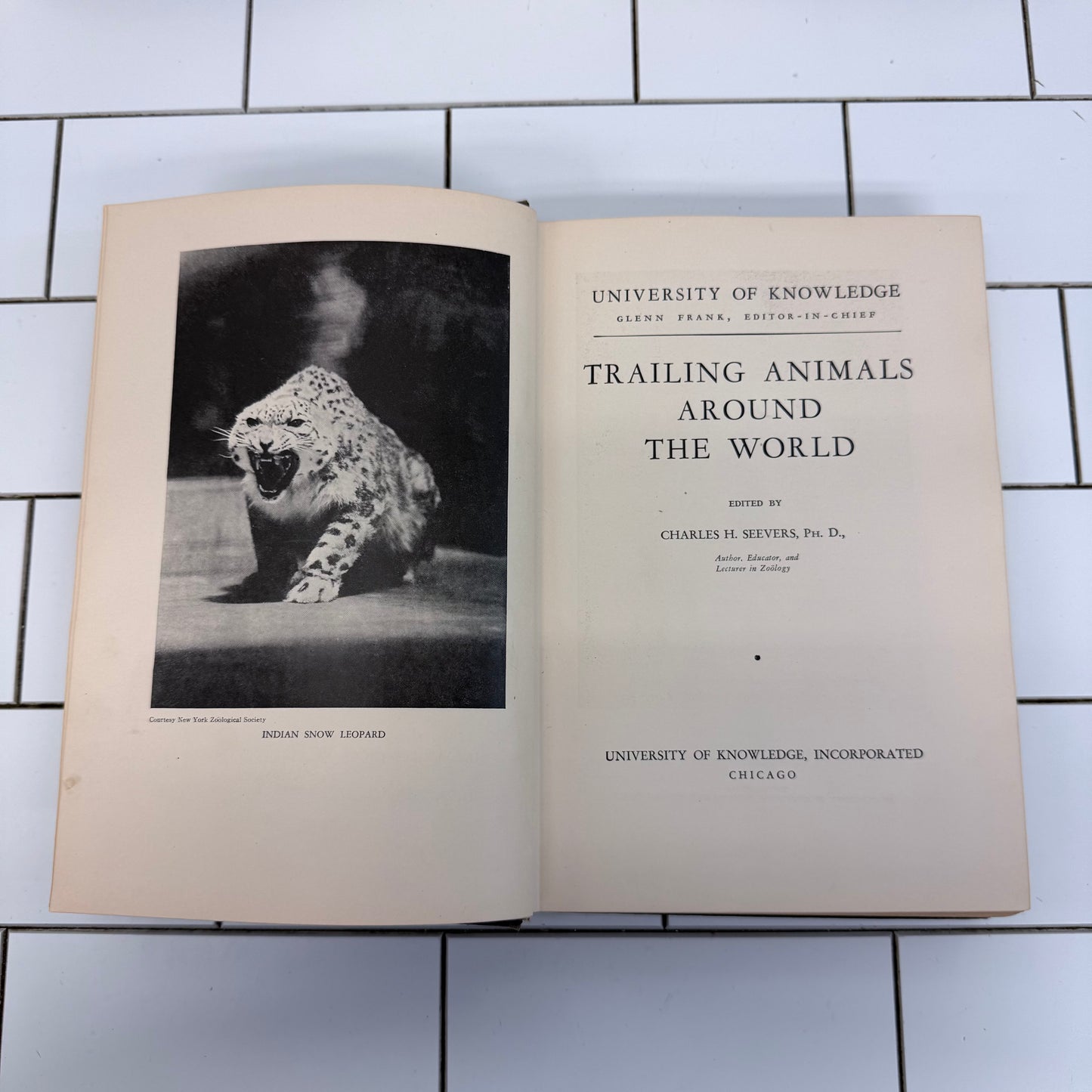 Vintage Hardback Book Collection 1900s–1970s