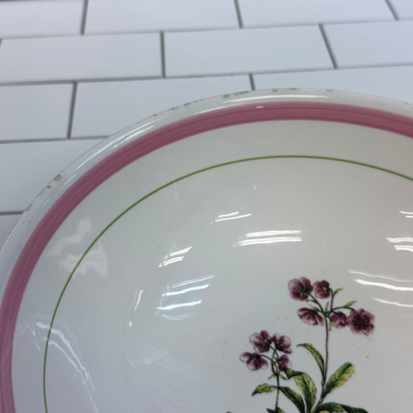 La Primula Italy Chimaphila Botanical Ceramic Serving Bowl 11”