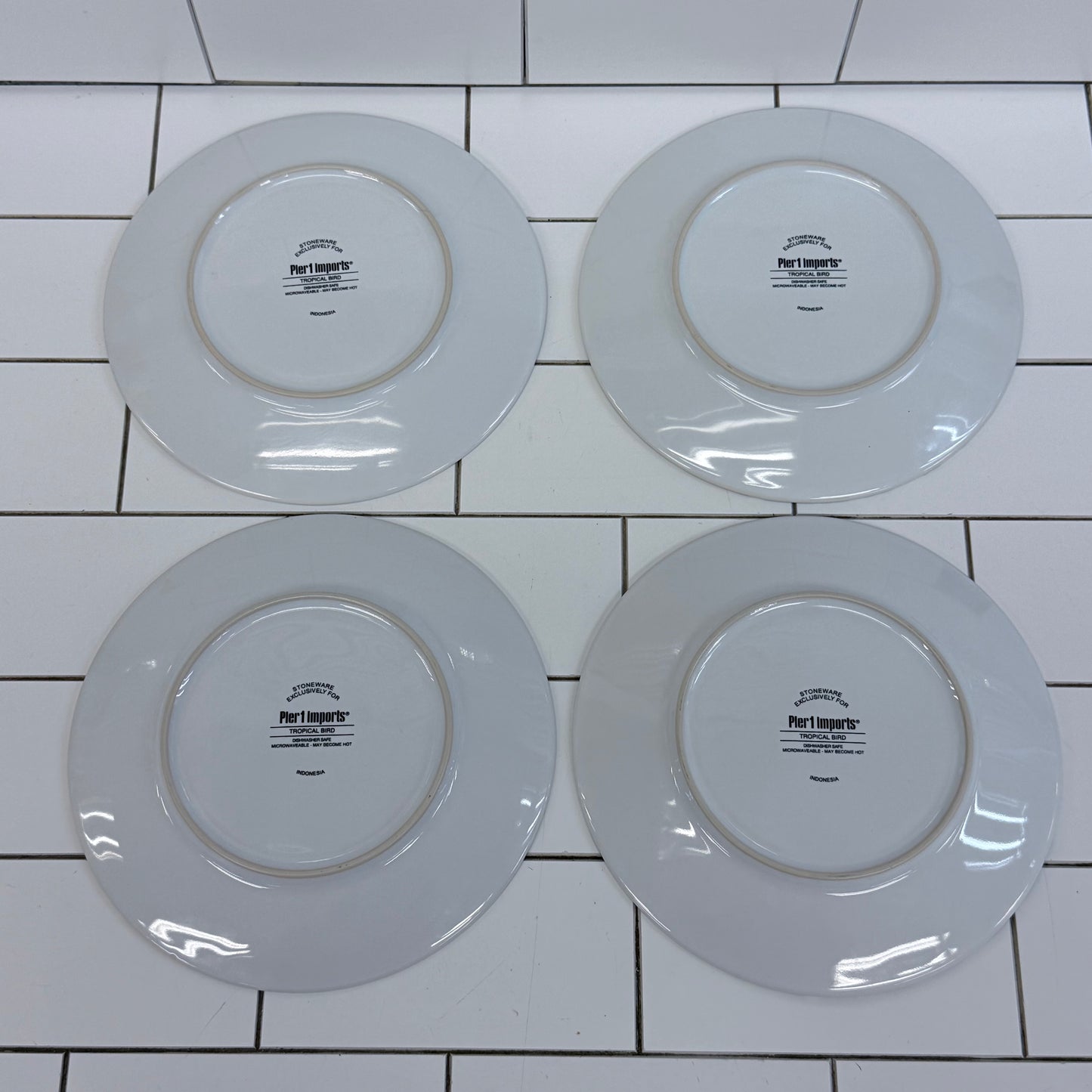 Pier 1 Tropical Bird Stoneware Salad Plates Set of 4 2010s
