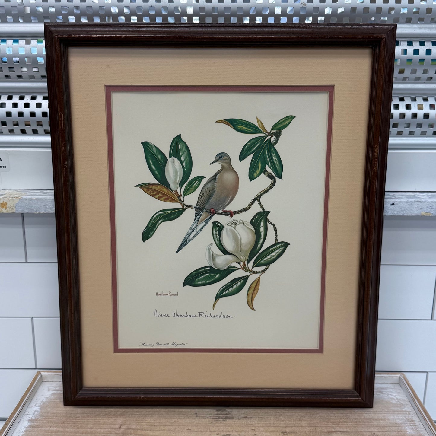 Anne Worsham Richardson Mourning Dove Magnolia Signed Art Print