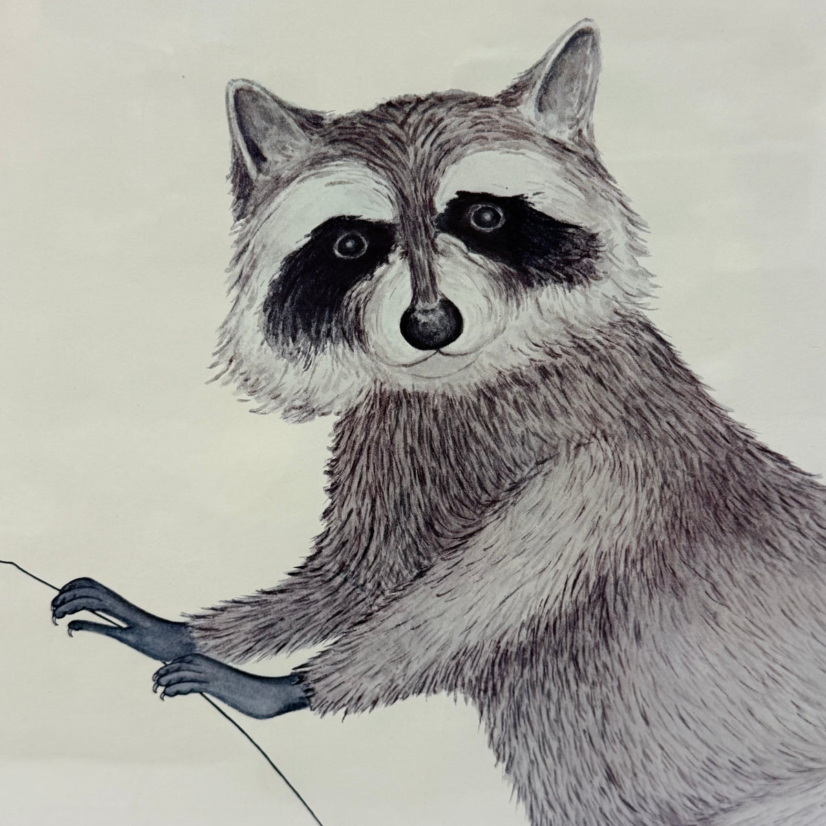 Lake Placid Olympics Roni Raccoon Original Poster 1980